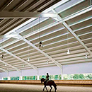 proyectos ejecutivos